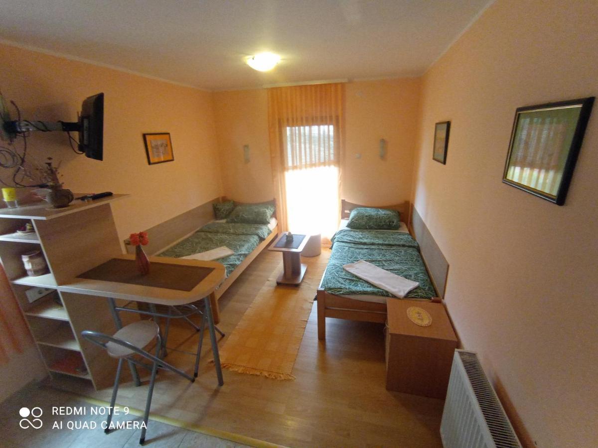Apartment Bliznakinja B